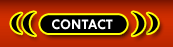Transsexuals Phone Sex Contact Portland